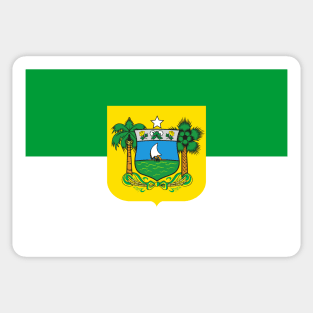 Flag of Rio Grande do Norte Sticker